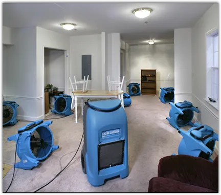 Water Extraction & Removal in Casa Grande, AZ